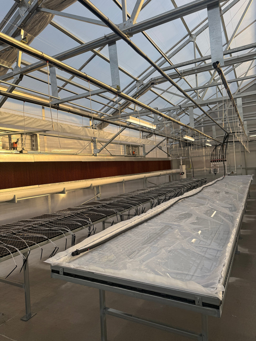 Education Green house